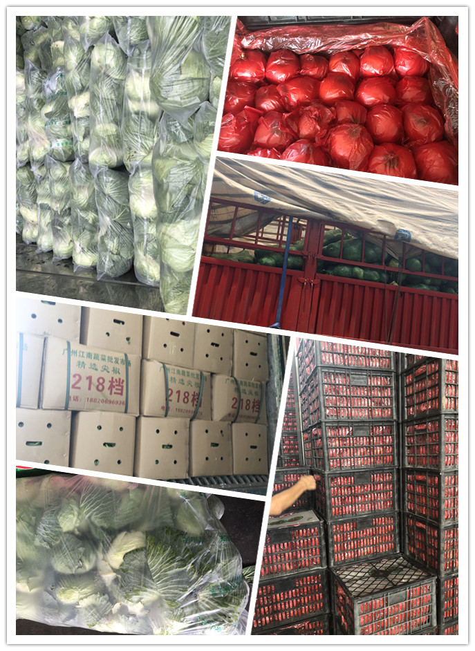 首页| J9集团国际站官方网站