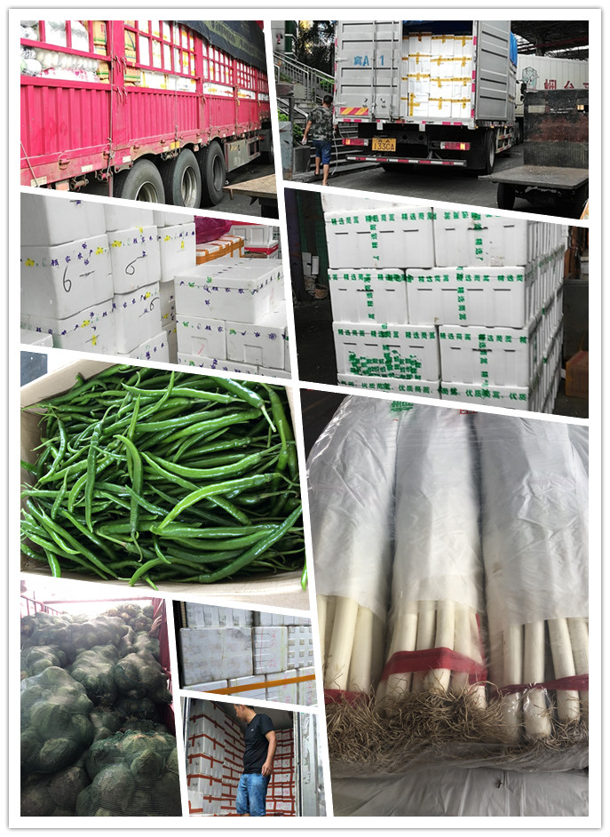 首页| J9集团国际站官方网站