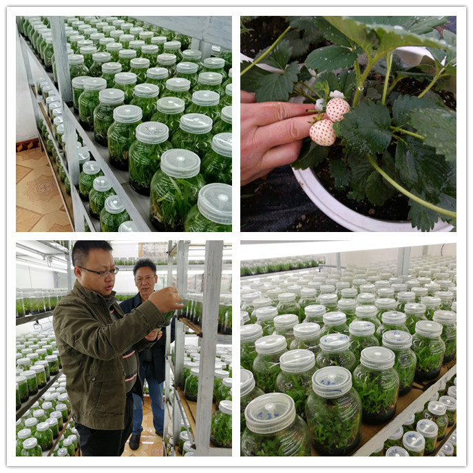 首页| J9集团国际站官方网站