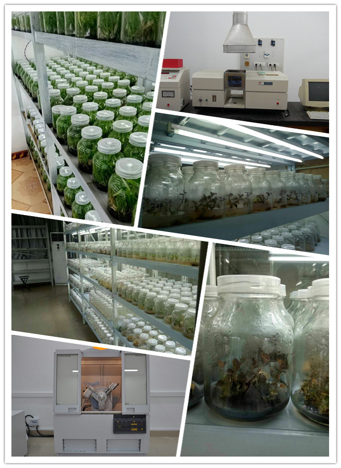 首页| J9集团国际站官方网站