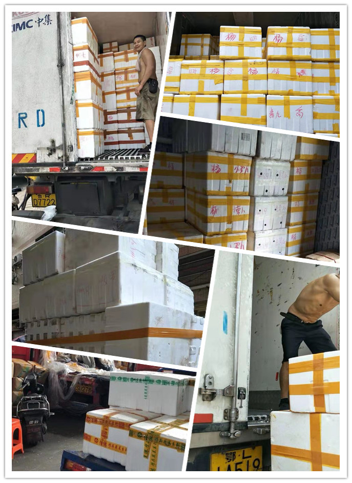 首页| J9集团国际站官方网站