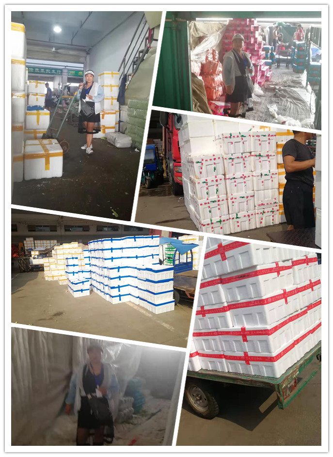 首页| J9集团国际站官方网站