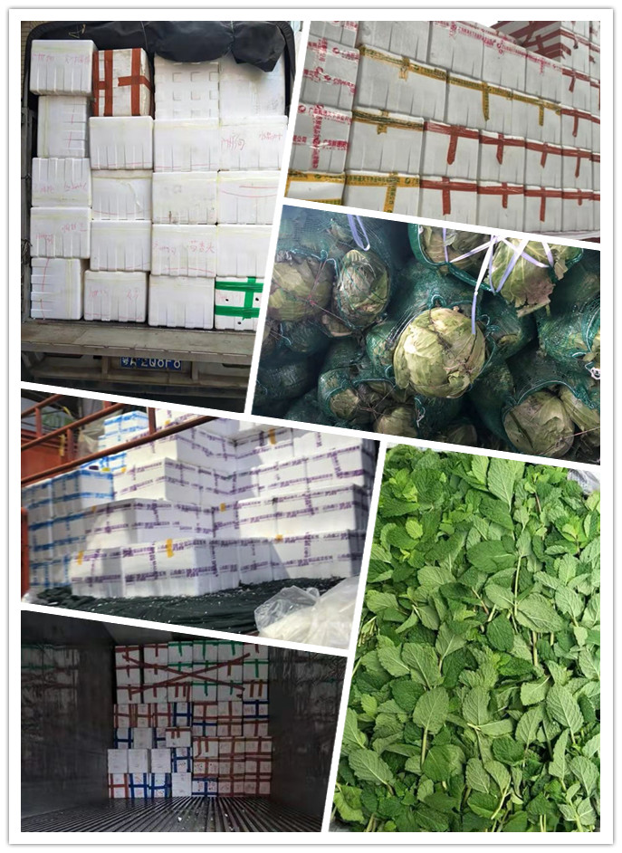 首页| J9集团国际站官方网站