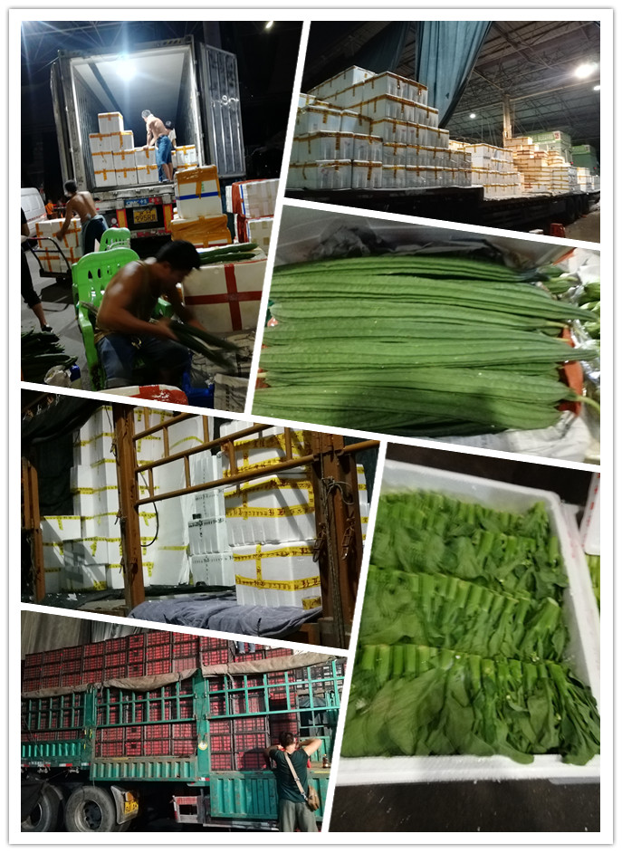 首页| J9集团国际站官方网站