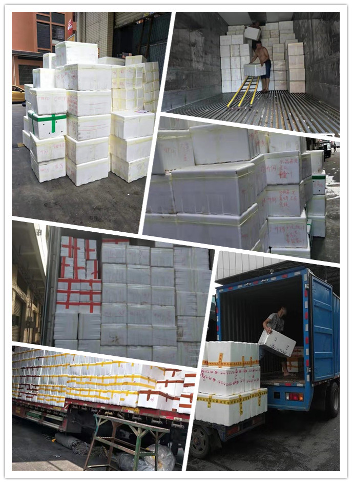 首页| J9集团国际站官方网站