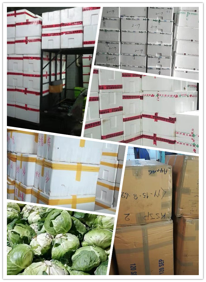 首页| J9集团国际站官方网站