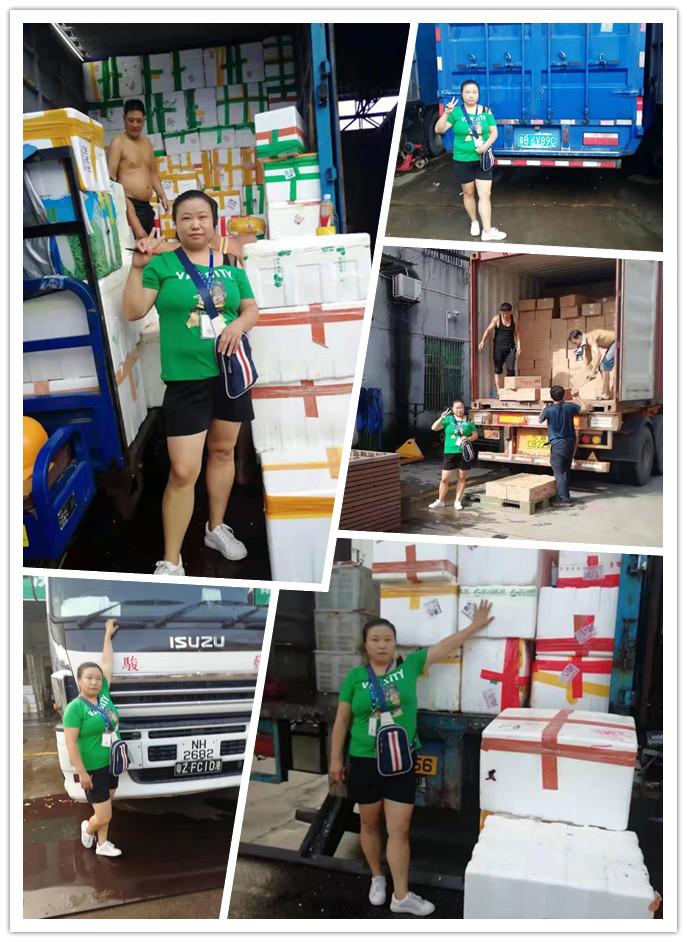 首页| J9集团国际站官方网站