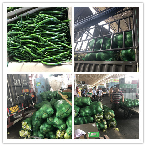 首页| J9集团国际站官方网站