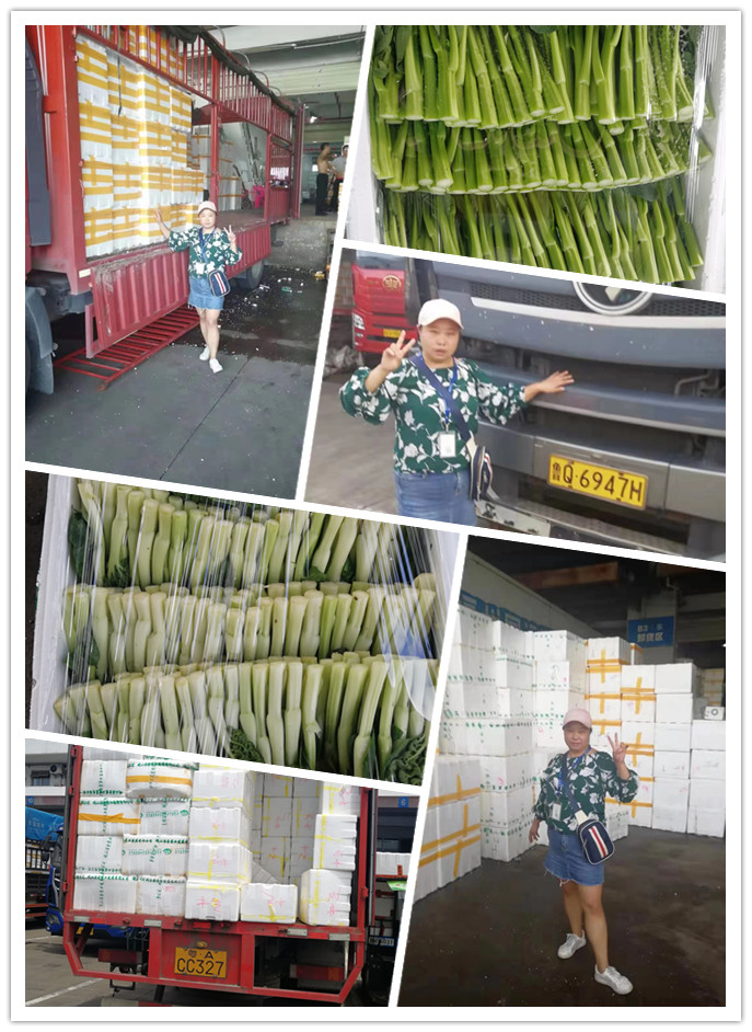 首页| J9集团国际站官方网站