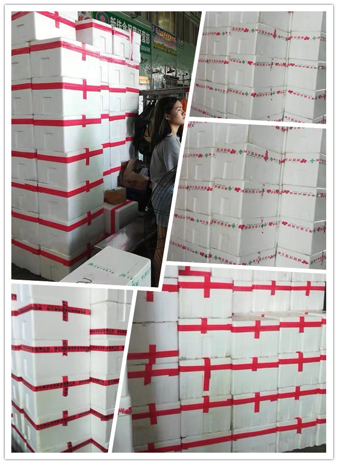 首页| J9集团国际站官方网站