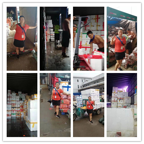 首页| J9集团国际站官方网站