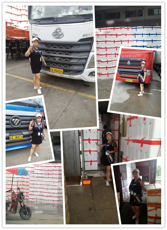 首页| J9集团国际站官方网站