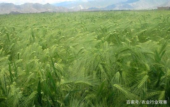 首页| J9集团国际站官方网站