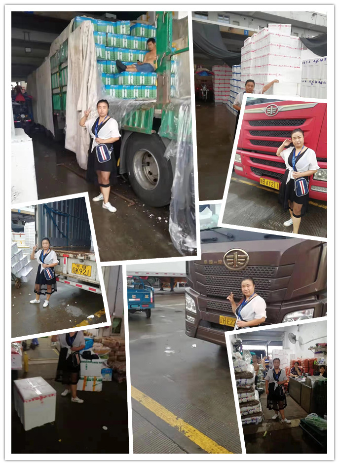 首页| J9集团国际站官方网站