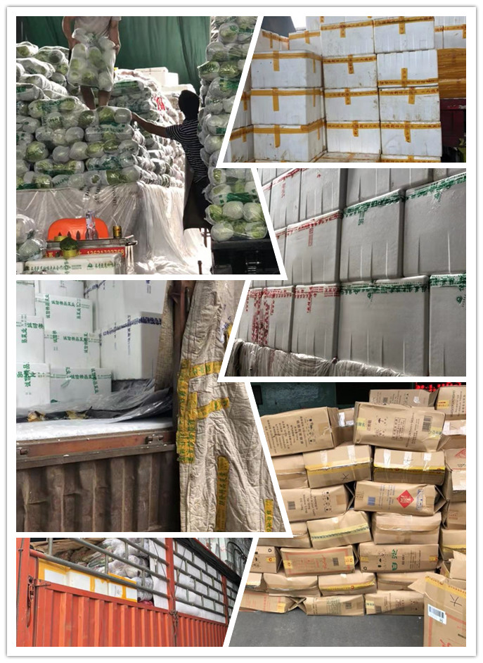 首页| J9集团国际站官方网站