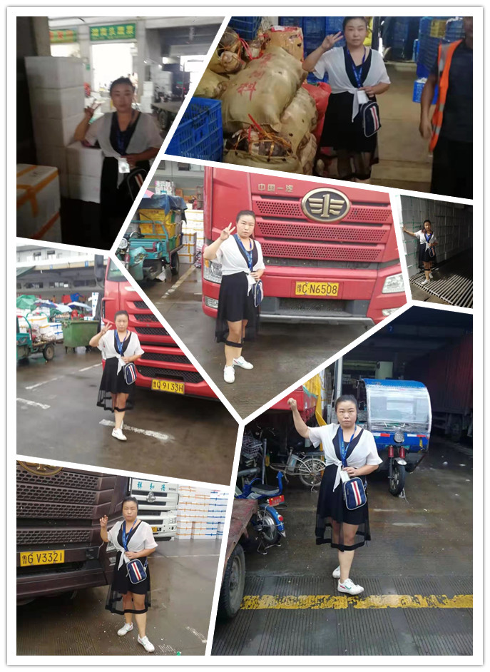 首页| J9集团国际站官方网站