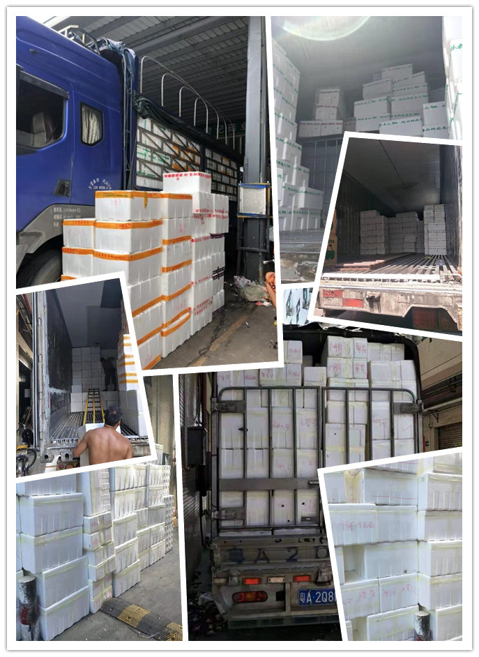 首页| J9集团国际站官方网站