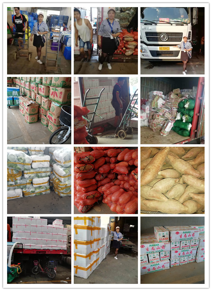 首页| J9集团国际站官方网站