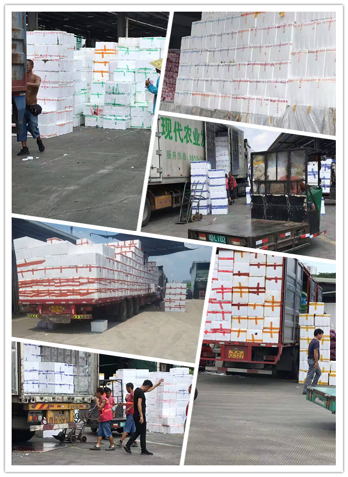 首页| J9集团国际站官方网站