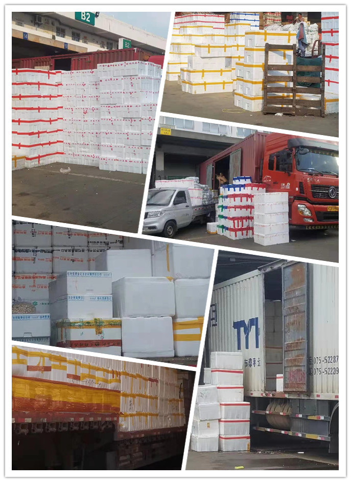 首页| J9集团国际站官方网站