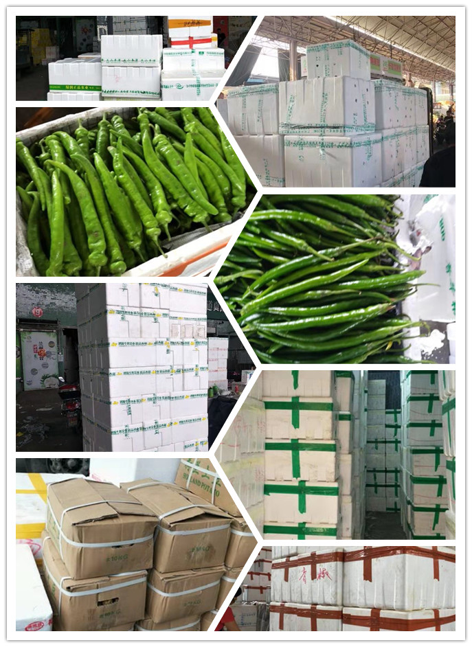 首页| J9集团国际站官方网站