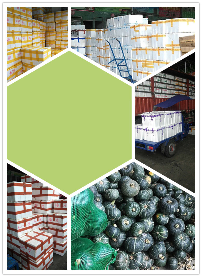 首页| J9集团国际站官方网站