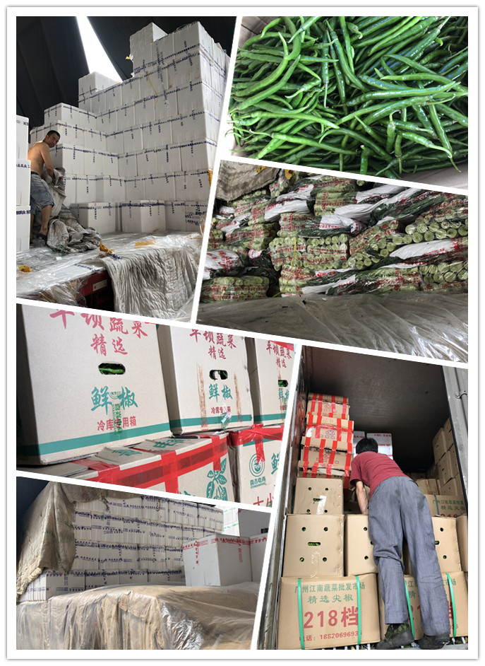 首页| J9集团国际站官方网站