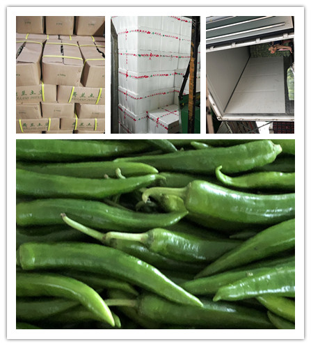 首页| J9集团国际站官方网站