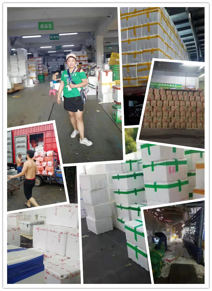 首页| J9集团国际站官方网站