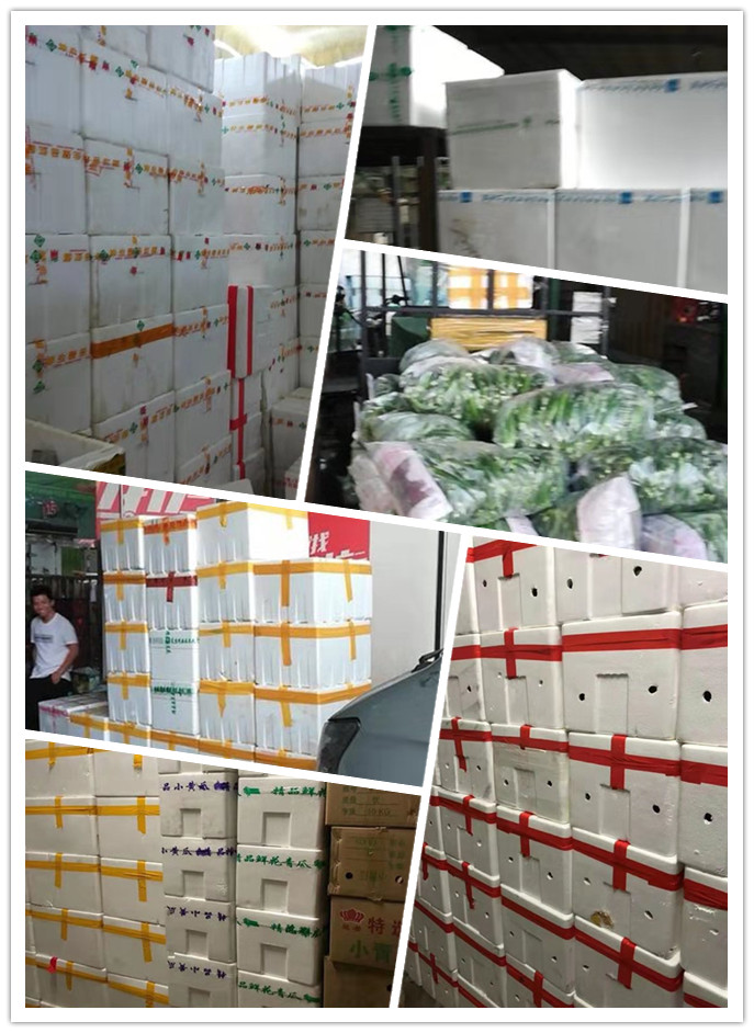 首页| J9集团国际站官方网站