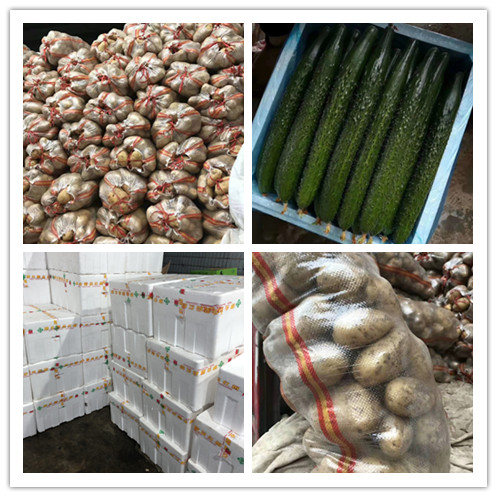 首页| J9集团国际站官方网站