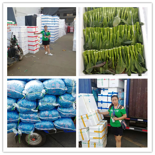 首页| J9集团国际站官方网站