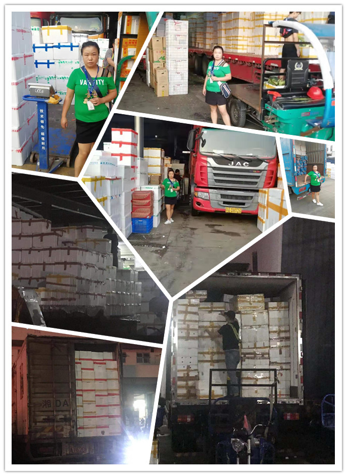 首页| J9集团国际站官方网站