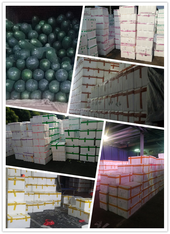 首页| J9集团国际站官方网站