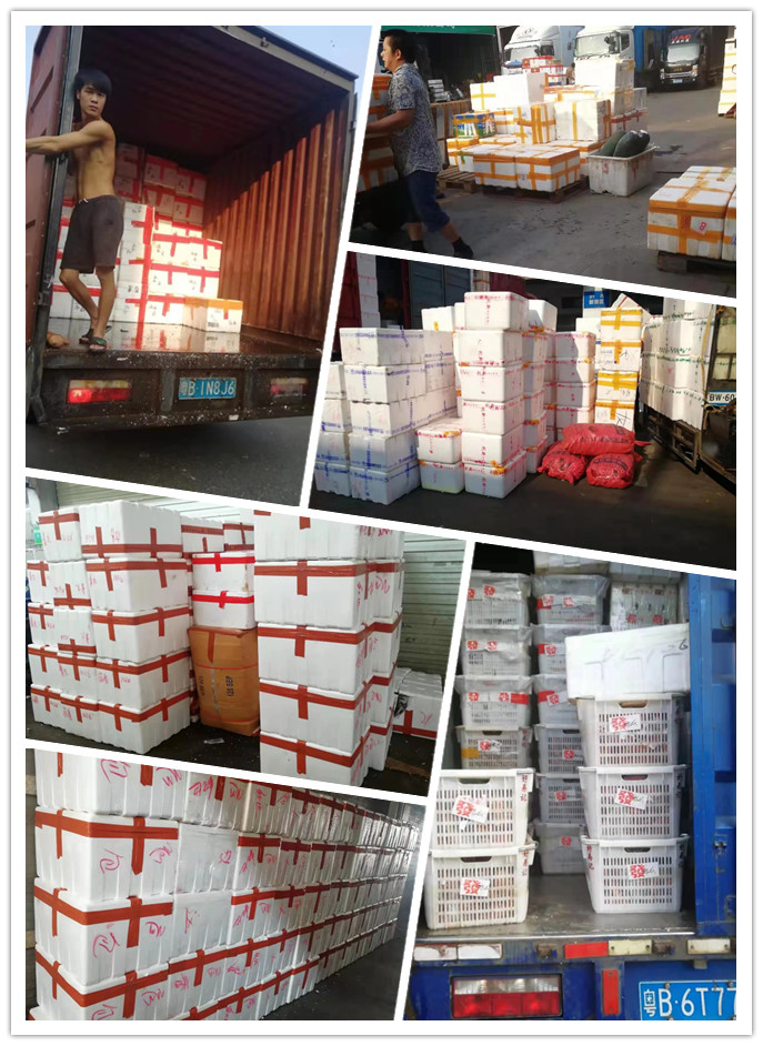 首页| J9集团国际站官方网站