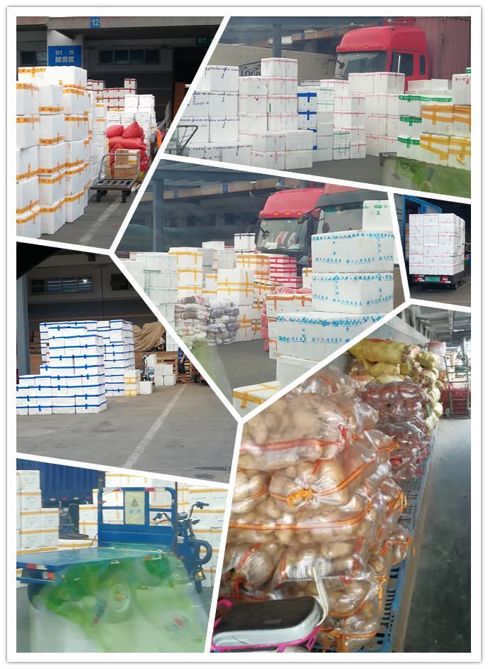 首页| J9集团国际站官方网站