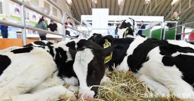 首页| J9集团国际站官方网站