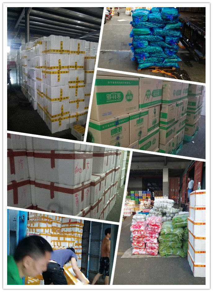 首页| J9集团国际站官方网站