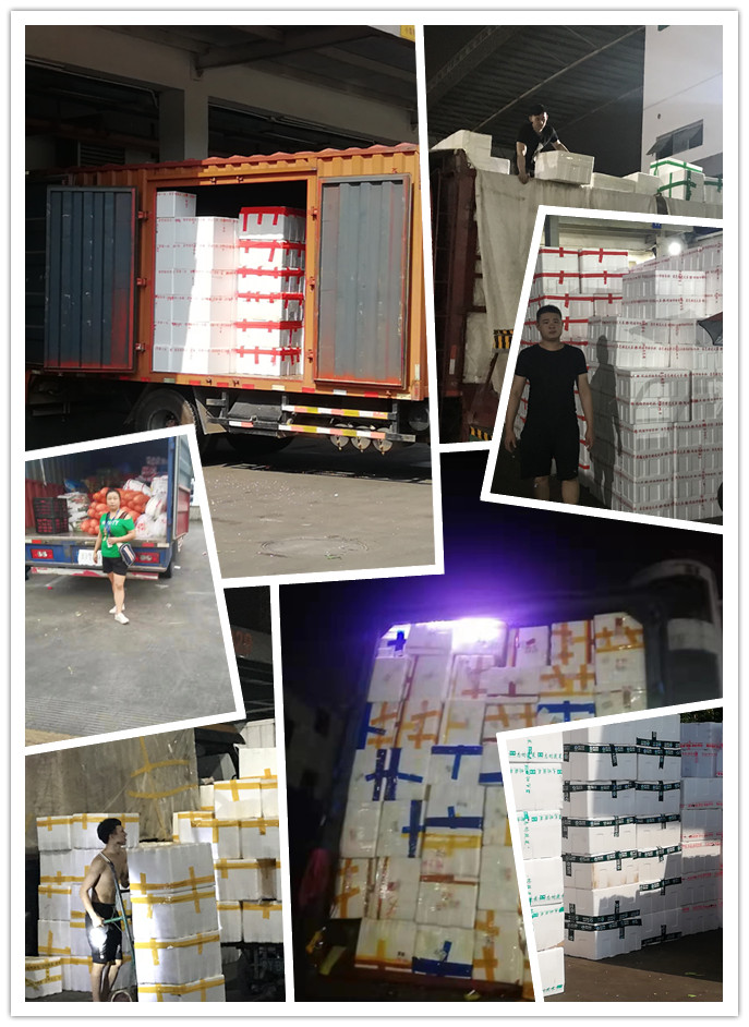 首页| J9集团国际站官方网站