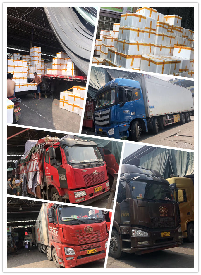 首页| J9集团国际站官方网站