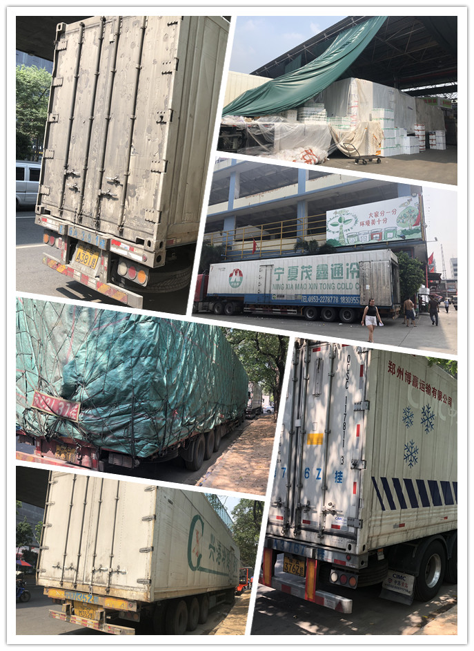 首页| J9集团国际站官方网站