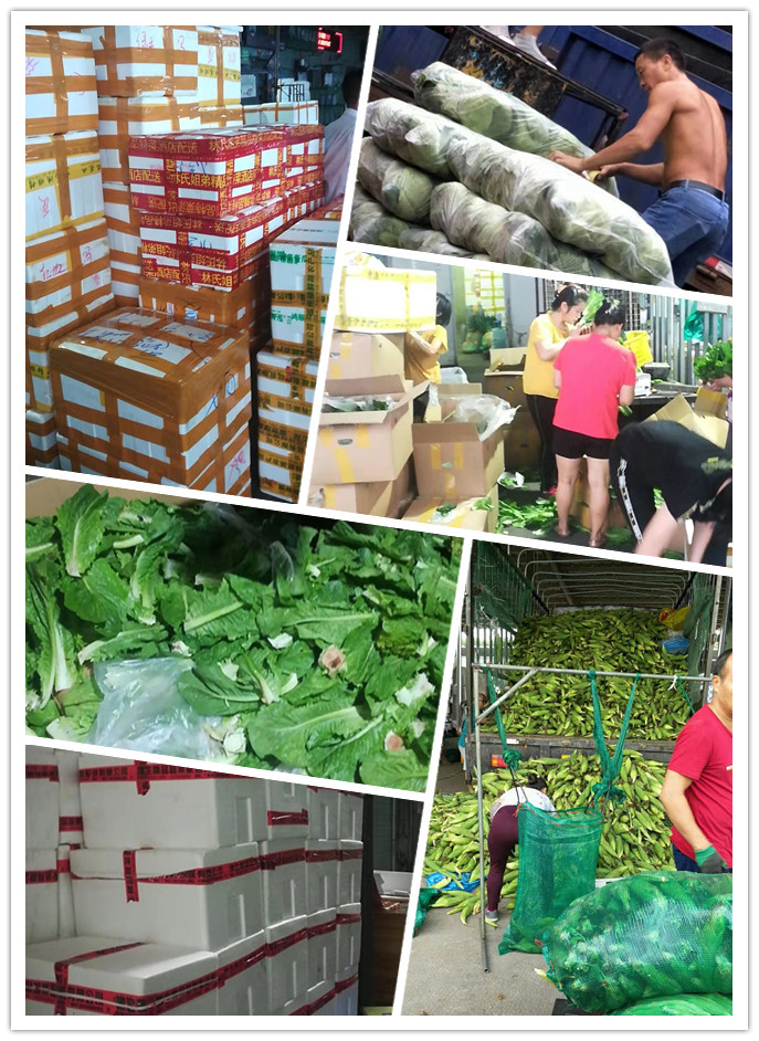 首页| J9集团国际站官方网站