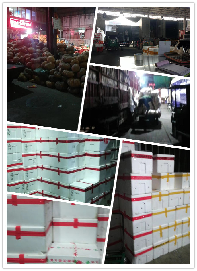 首页| J9集团国际站官方网站