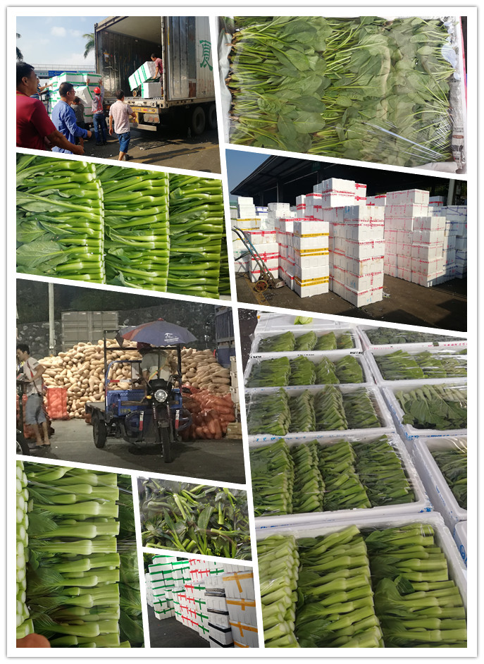 首页| J9集团国际站官方网站