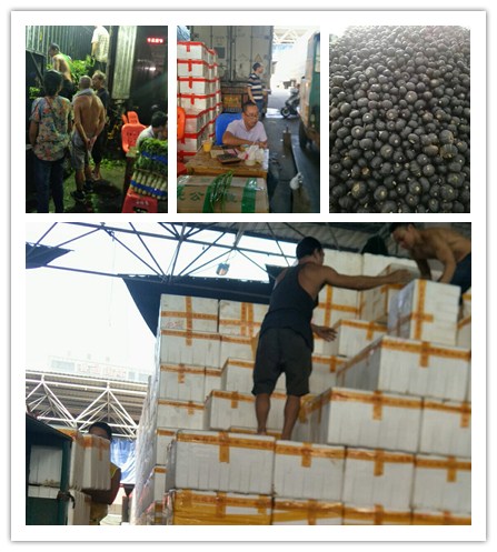 首页| J9集团国际站官方网站