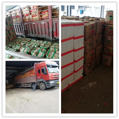 首页| J9集团国际站官方网站