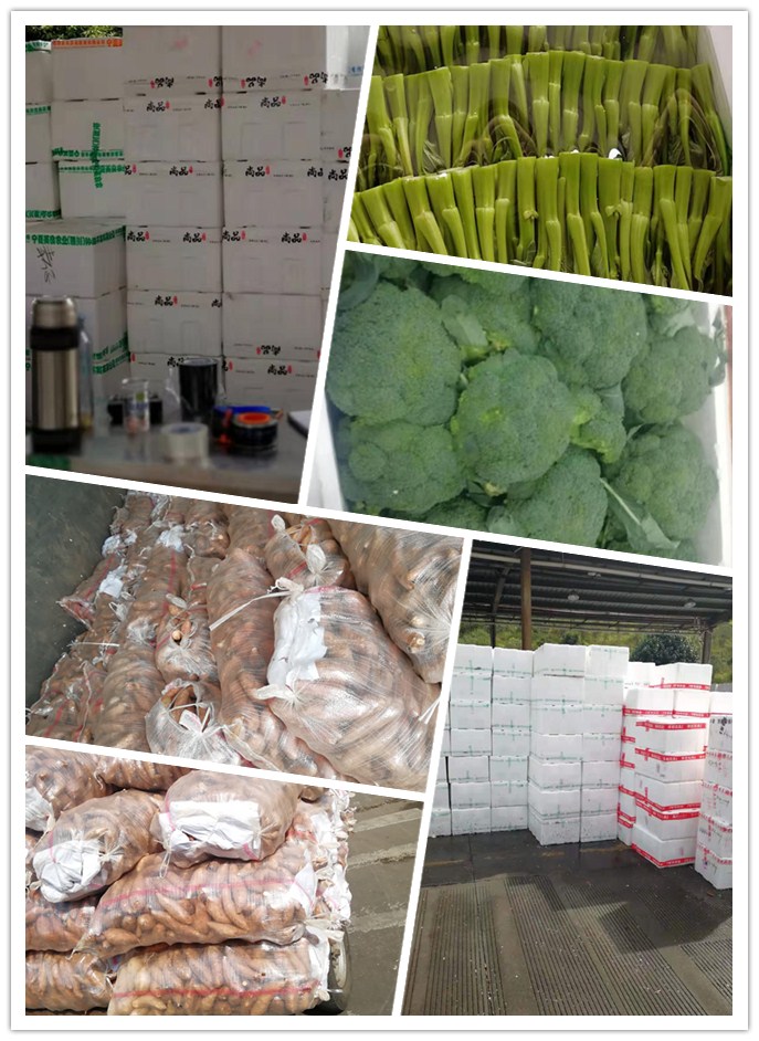 首页| J9集团国际站官方网站