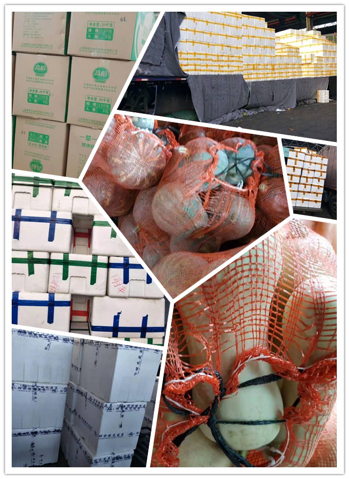 首页| J9集团国际站官方网站