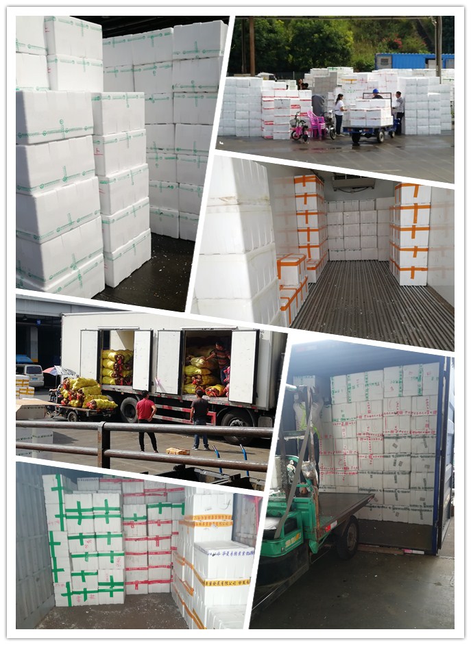 首页| J9集团国际站官方网站