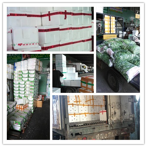 首页| J9集团国际站官方网站